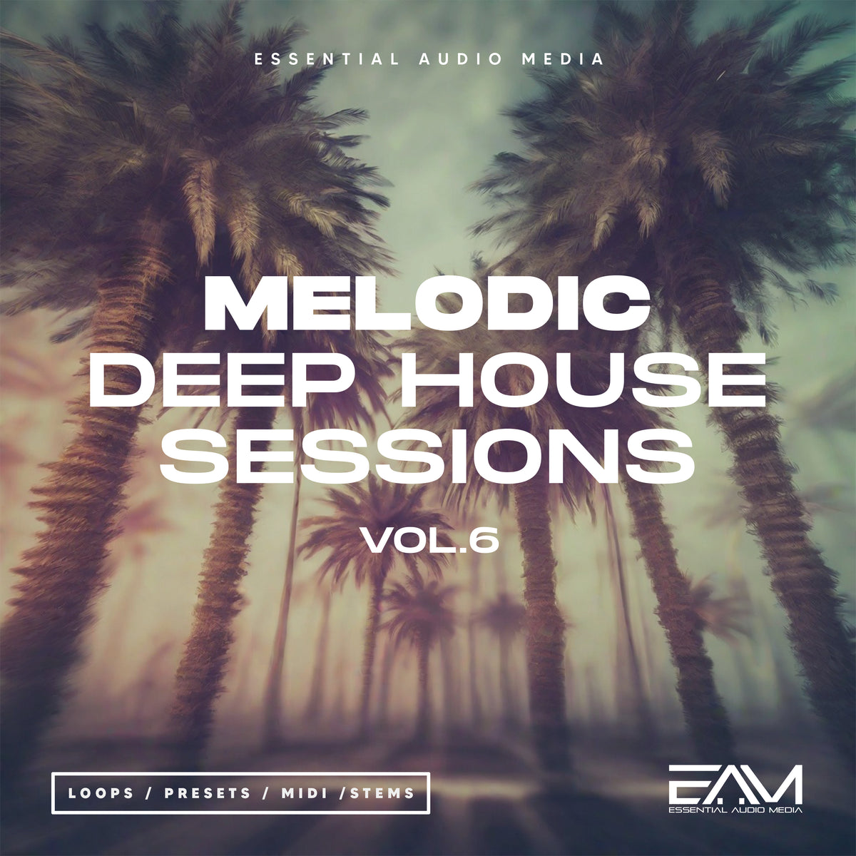 Melodic Deep House Sessions Vol 6 Essential Audio Media