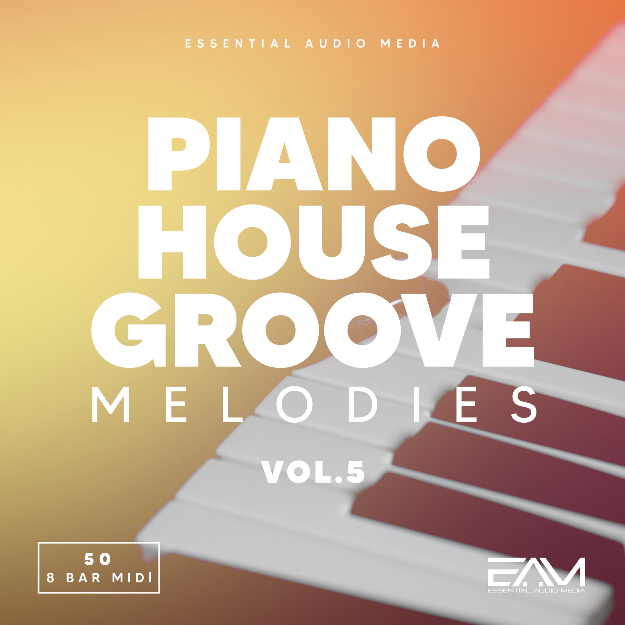 Piano House Groove Melodies Vol.5
